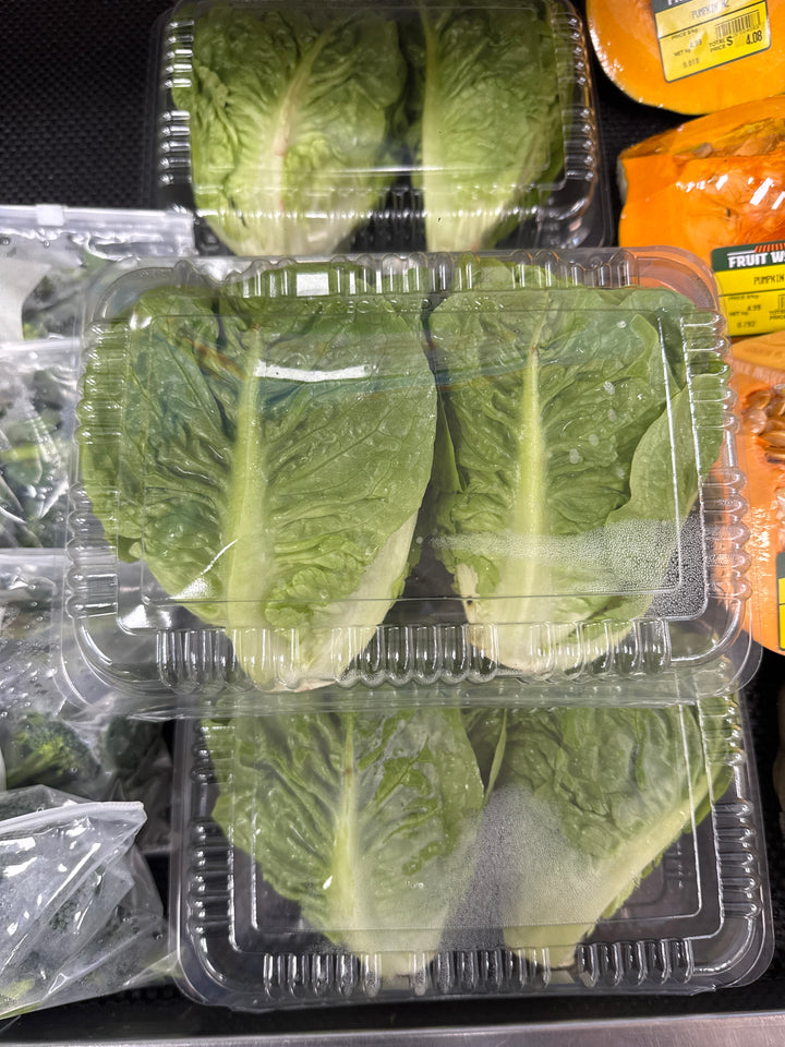 Lettuce Baby Cos twin pack each NZ