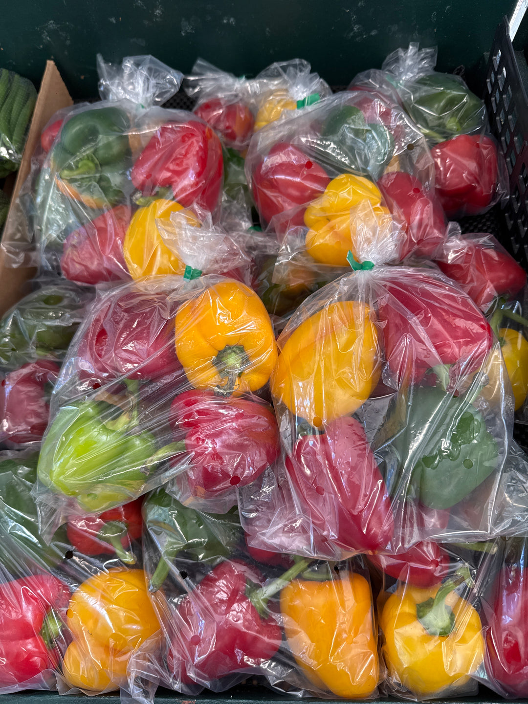 Capsicums Mix Colour Bag (Red*2 Green*2) 4pc NZ