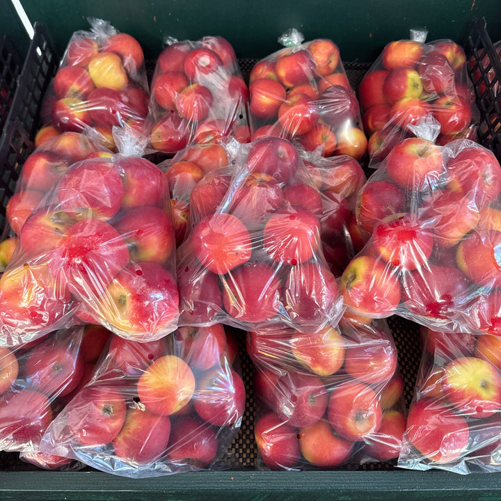 Apple Candee 1.5kg Bag NZ