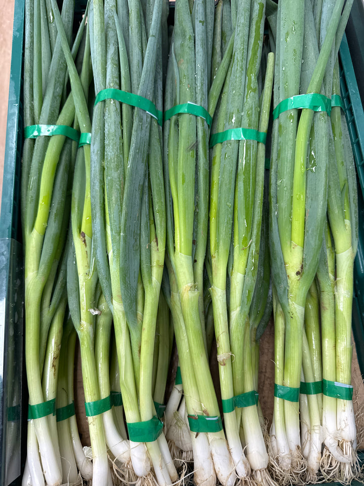 Spring Onions Bunch NZ