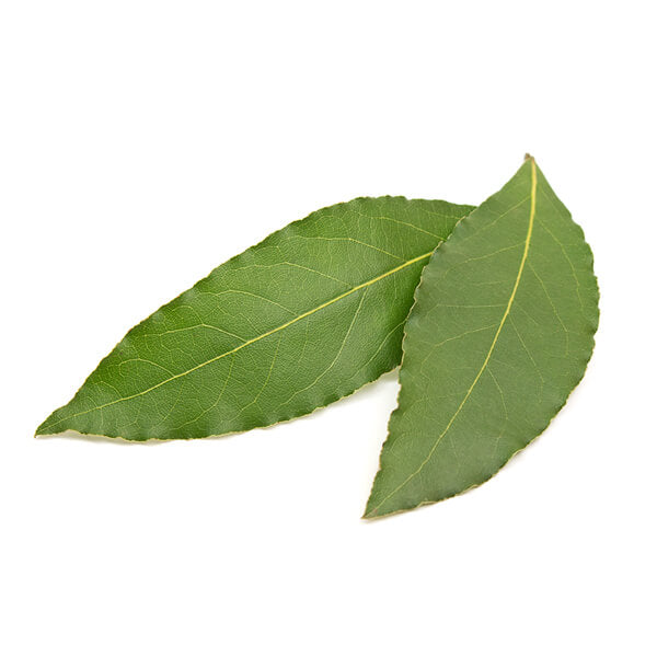 Bay Leaves Fresh 20g NZ*