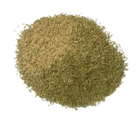 Cumin Seed Whole Classic Taste 100g