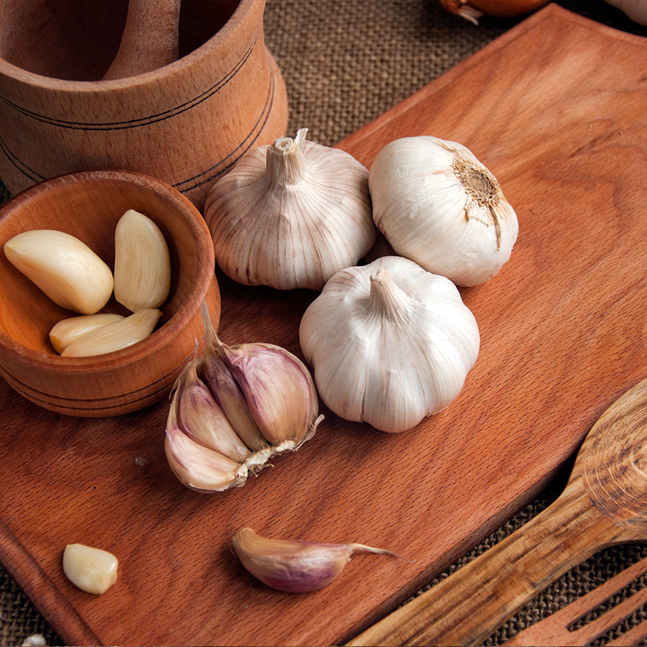 Garlic Bulb USA*