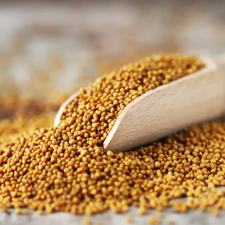 Mustard Seed Yellow Classic Taste 100g
