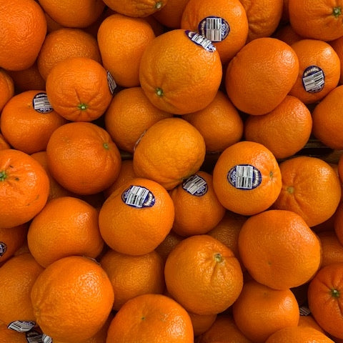 Mandarins Afourer Australian