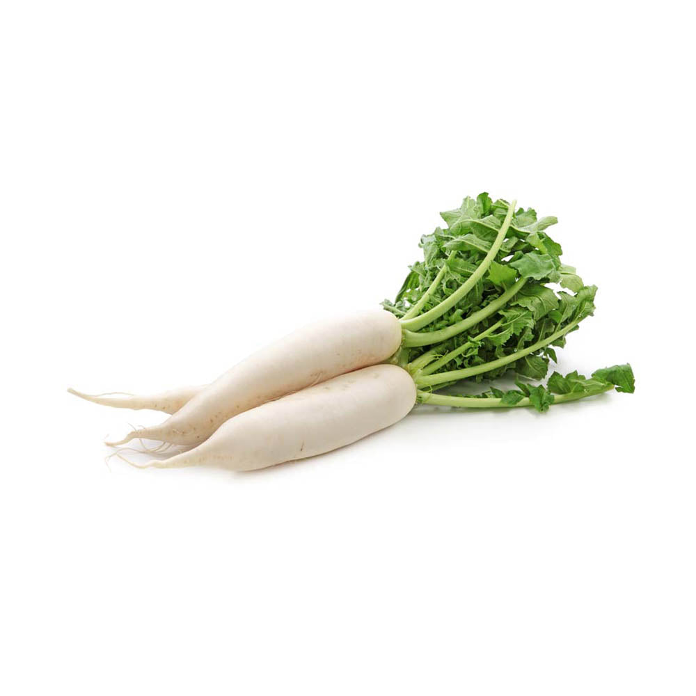 Chinese Vegetables White Turnip Daikon NZ Medium Size*