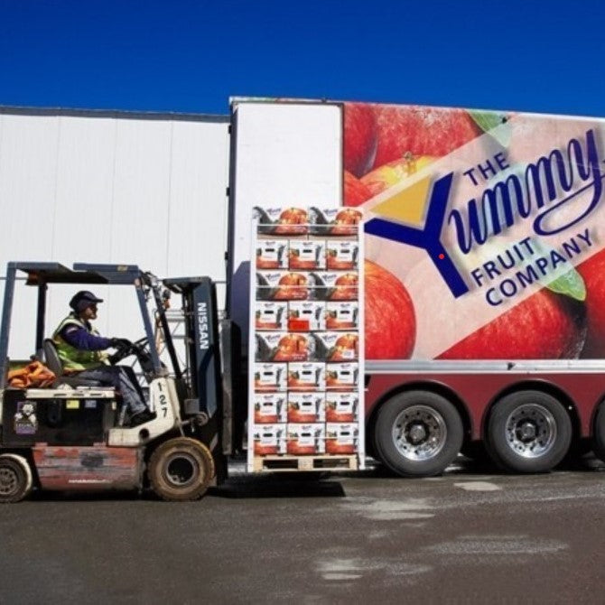 Apples Ambrosia Yummy NZ