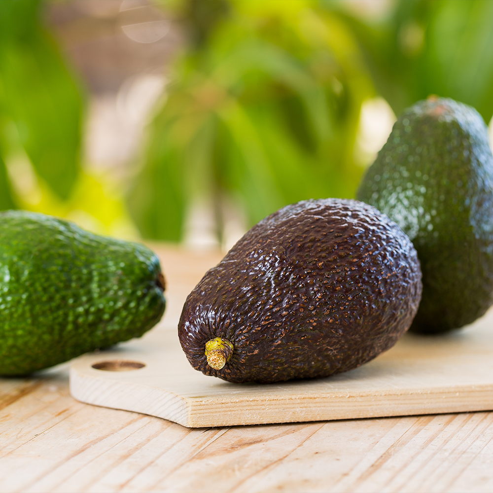 Avocado Hass Jumbo NZ