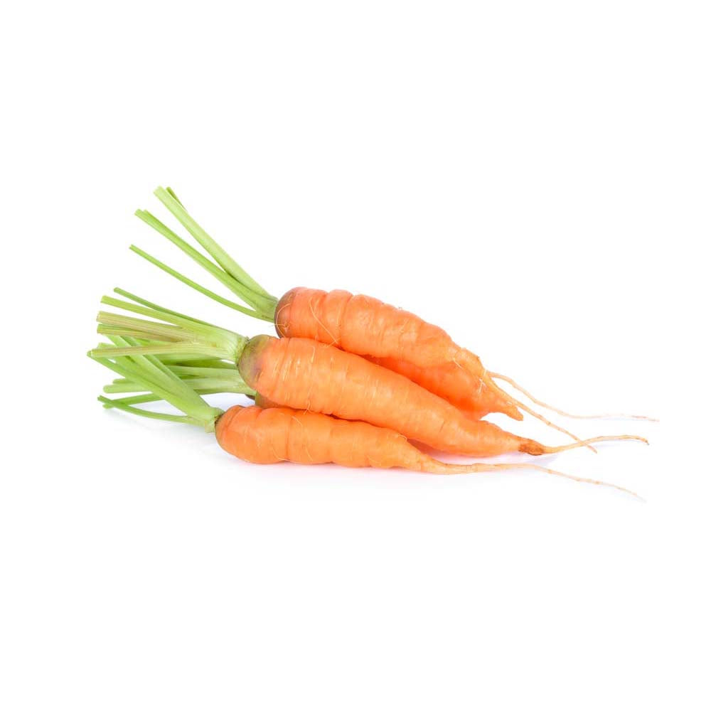 Carrot Baby Tray NZ
