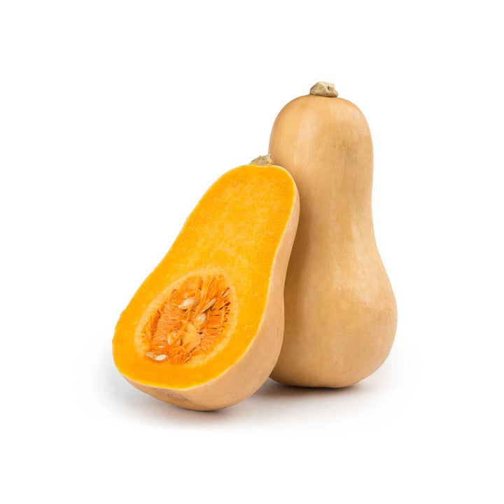 Pumpkin Butternut NZ