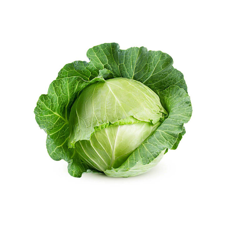 Cabbage Large Fresh NZ Each