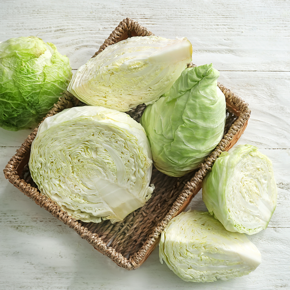 Cabbage Large Fresh NZ Each