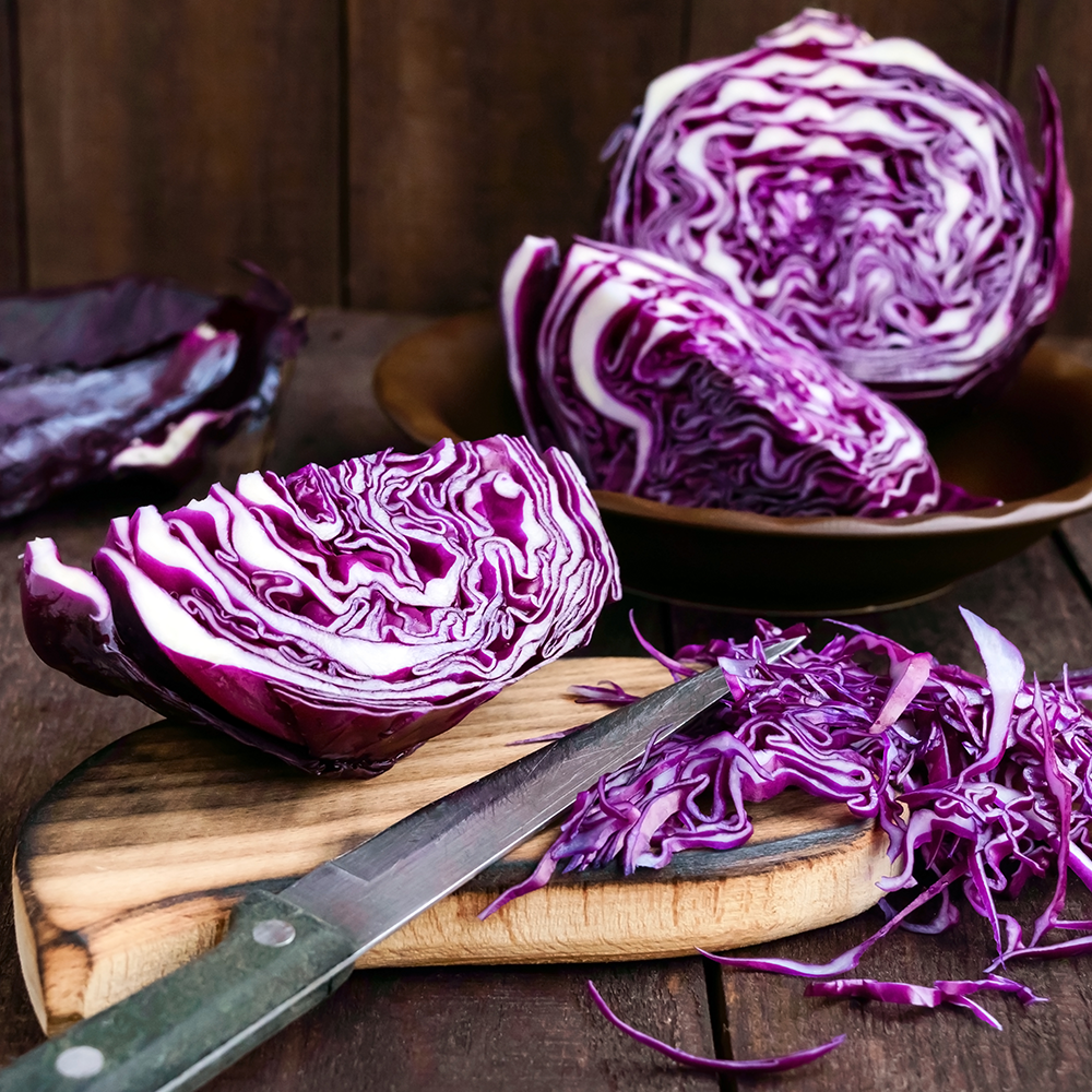 Cabbage Red NZ Each