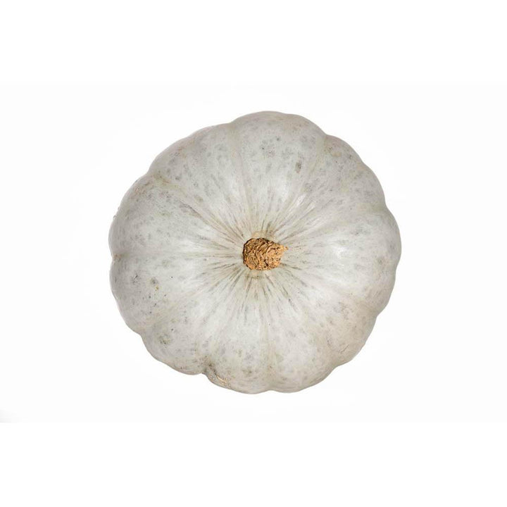 Pumpkin Crown Each  NZ $3.49KG