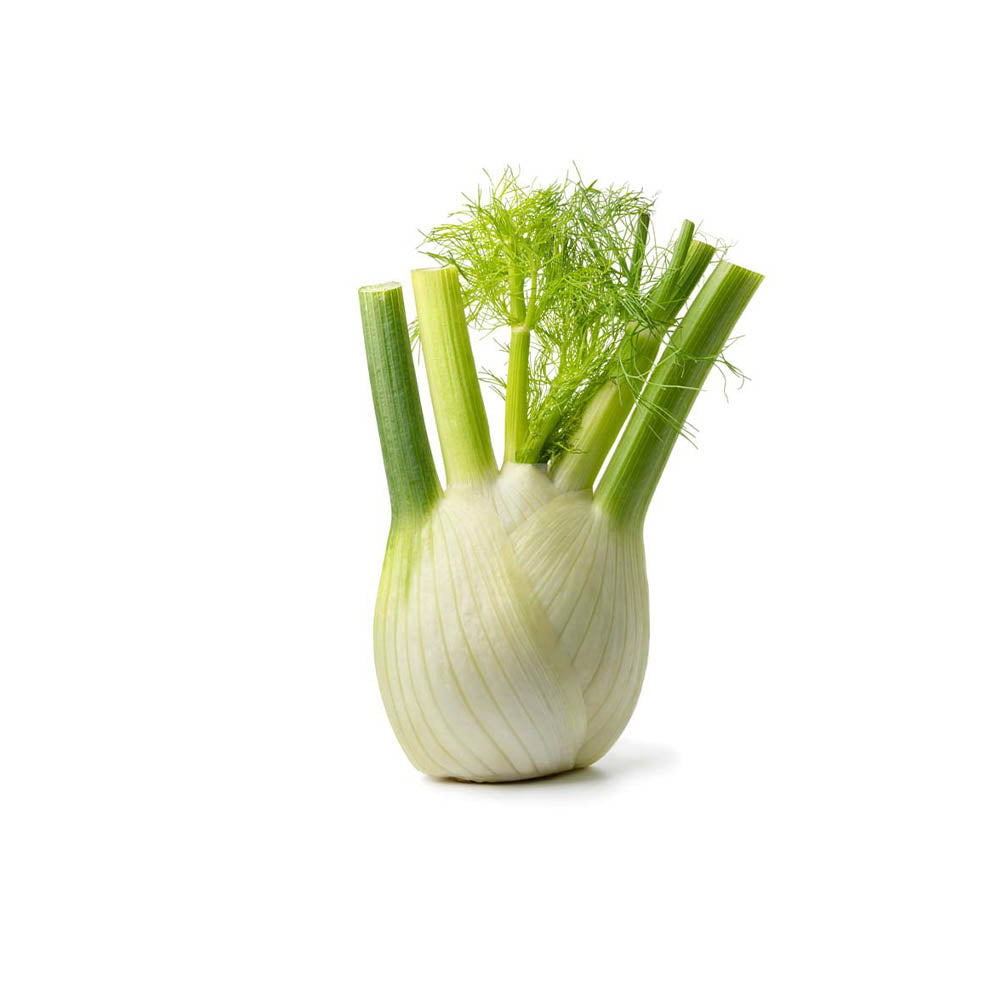 Fennel Bulb Each NZ