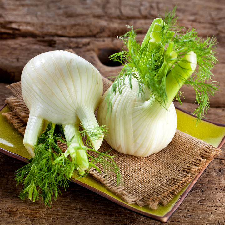 Fennel Bulb Each NZ