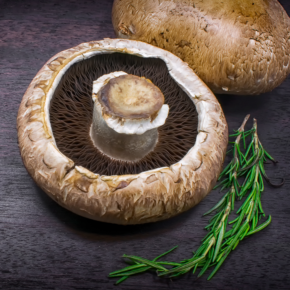 Mushrooms Flat Portabello 200gm Tray NZ