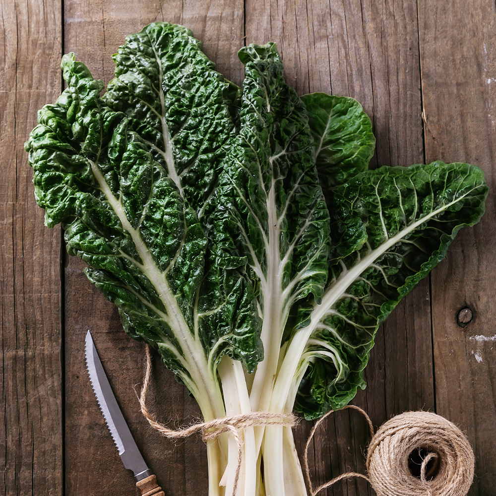 Silverbeet bunch NZ