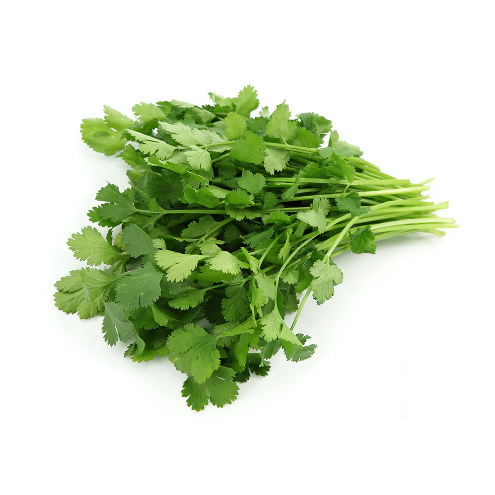 Coriander bunch each NZ