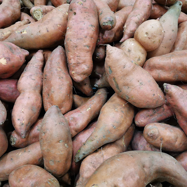 Kumara Beuregard ( Orange Kumara) NZ*