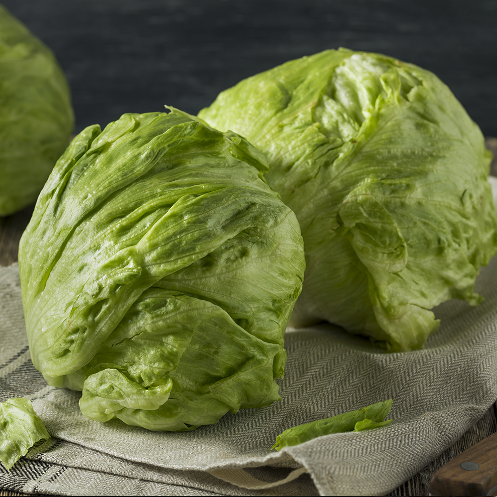 Lettuce Iceberg Fresh Cut Each NZ