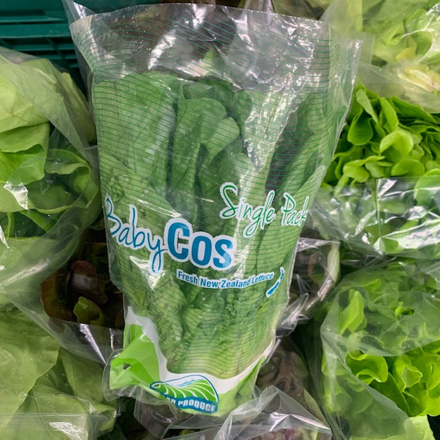 Lettuce Large Cos Single Pack NZ