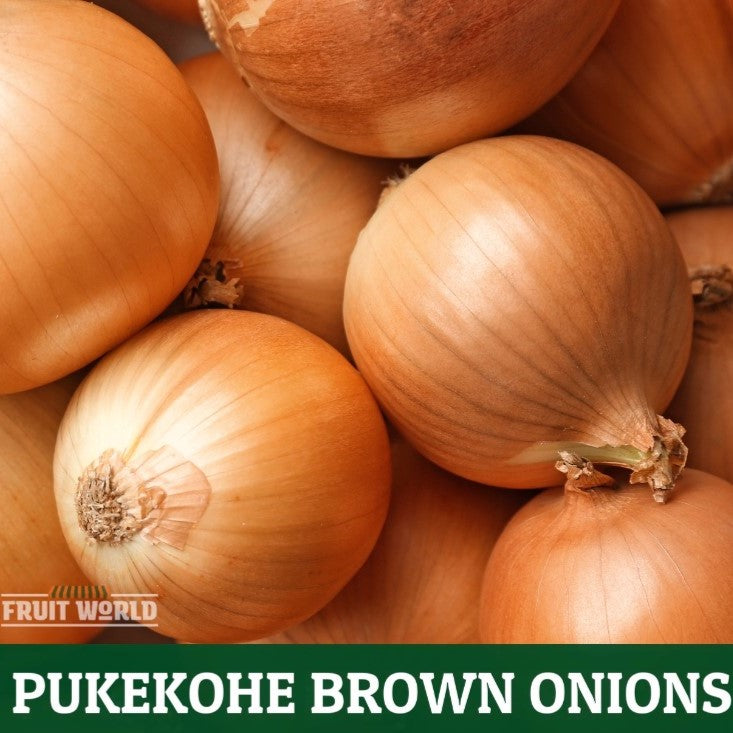 Onions Brown 2kg Bag NZ