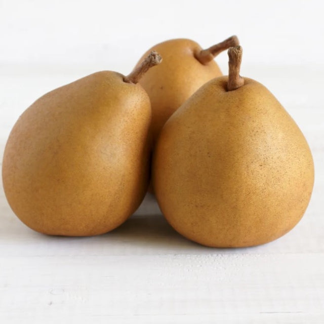 Pears Taylors Gold South Island NZ