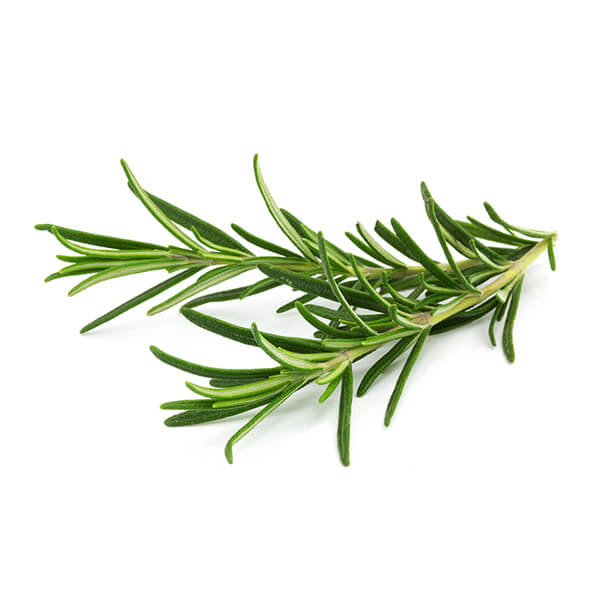 Rosemary Fresh Tray NZ*