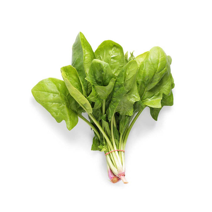 Spinach Fresh Bunch Bagged Each NZ