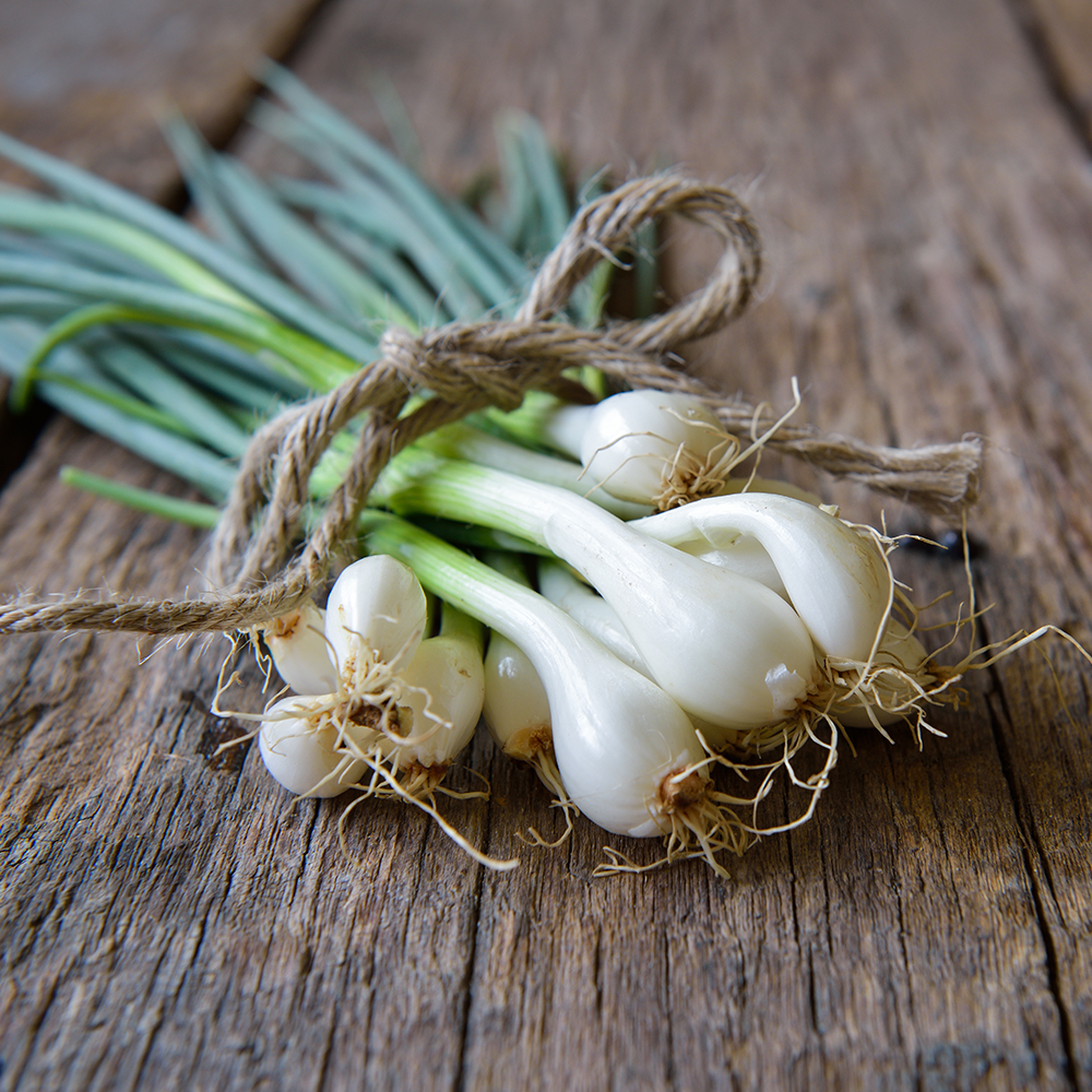 Spring Onions Bunch NZ