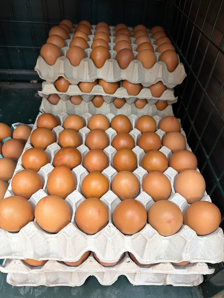 Eggs size 5 30 count each