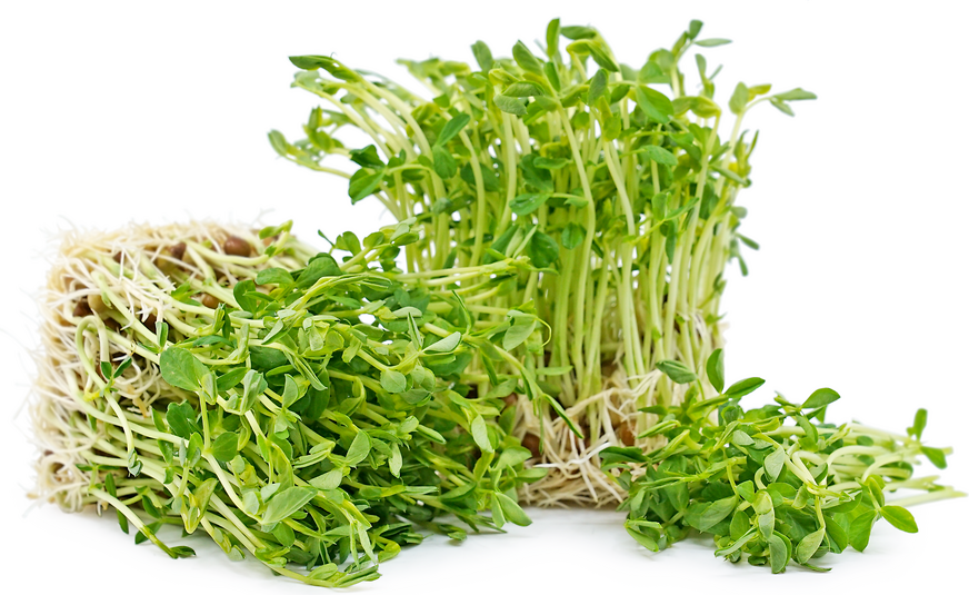 Pea Living Sprouts 700gm NZ