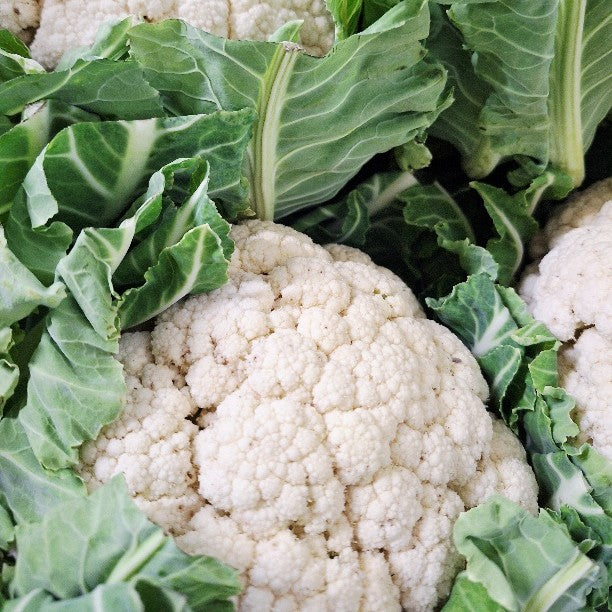 Cauliflower NZ