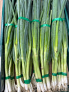 Spring Onions each NZ*