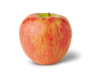 Apple Honey Crisp USA