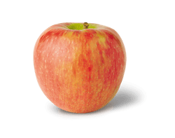 Apple Honey Crisp USA