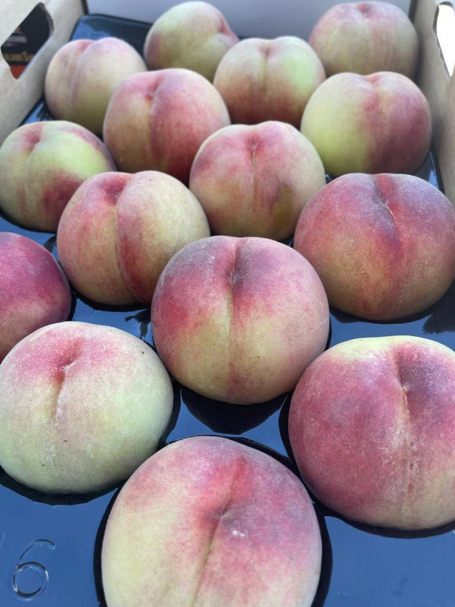 Peaches Honey Water NZ