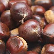 Chestnuts 500gm Bag NZ