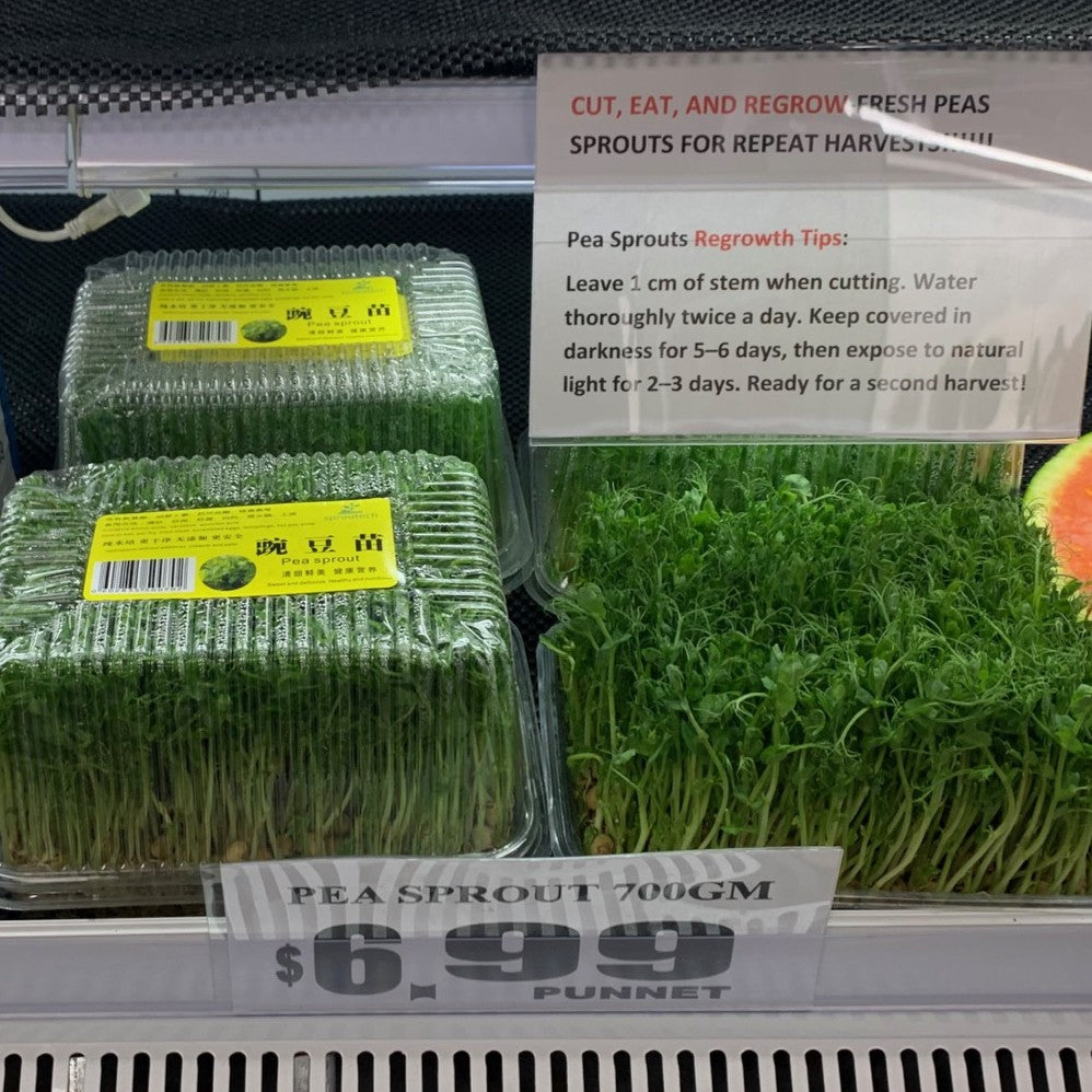 Pea Living Sprouts 700gm NZ