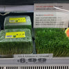 Pea Living Sprouts NZ 700g*