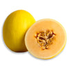 Honey Dew Yellow (Canary or Candy) melon NZ