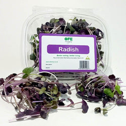 Micro Greens - Radish