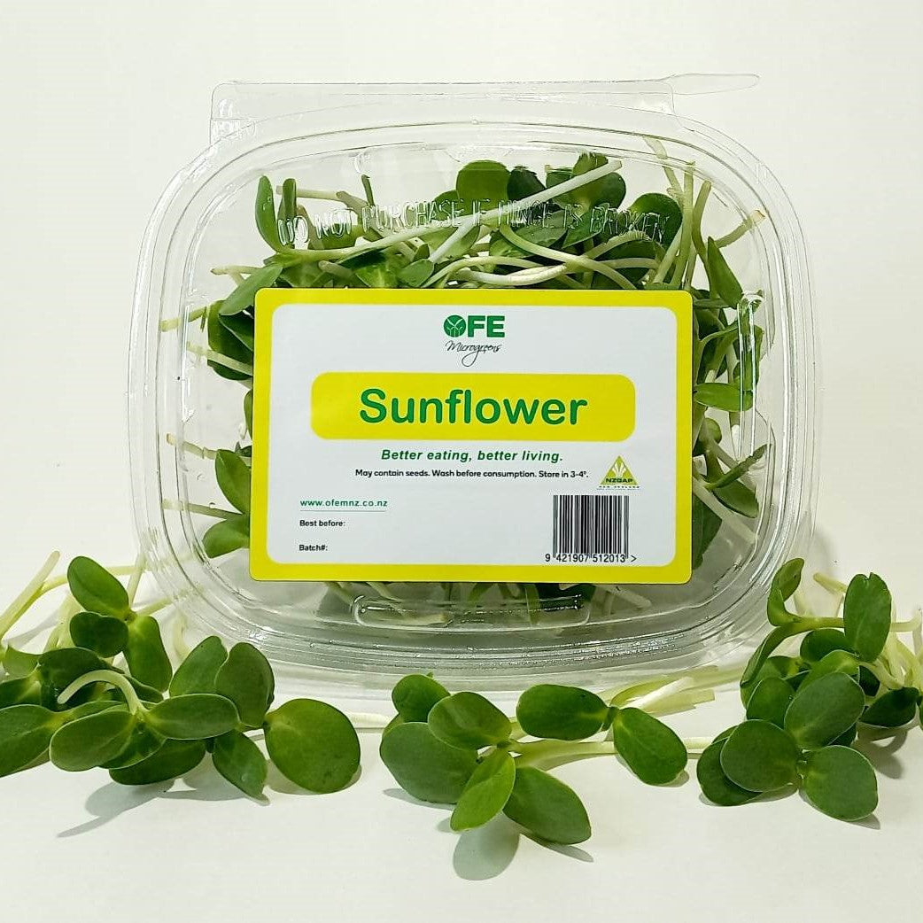 Micro Greens - Sunflower | Fruit World | Fruit World Ponsonby