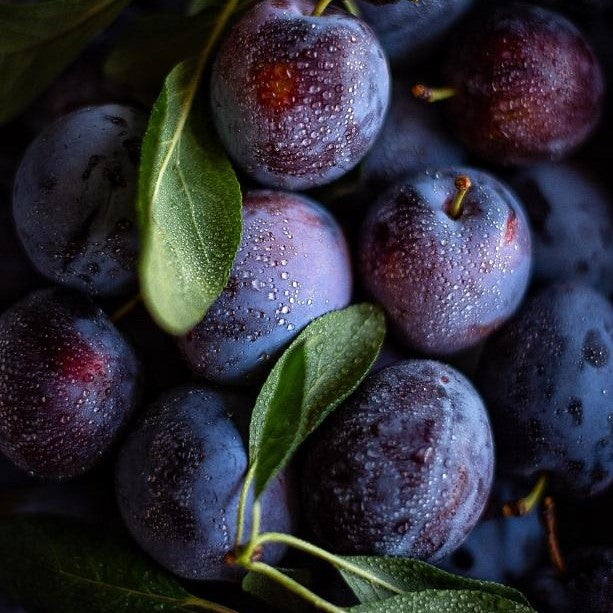 Plums NZ Black Doris 700gm Bag*