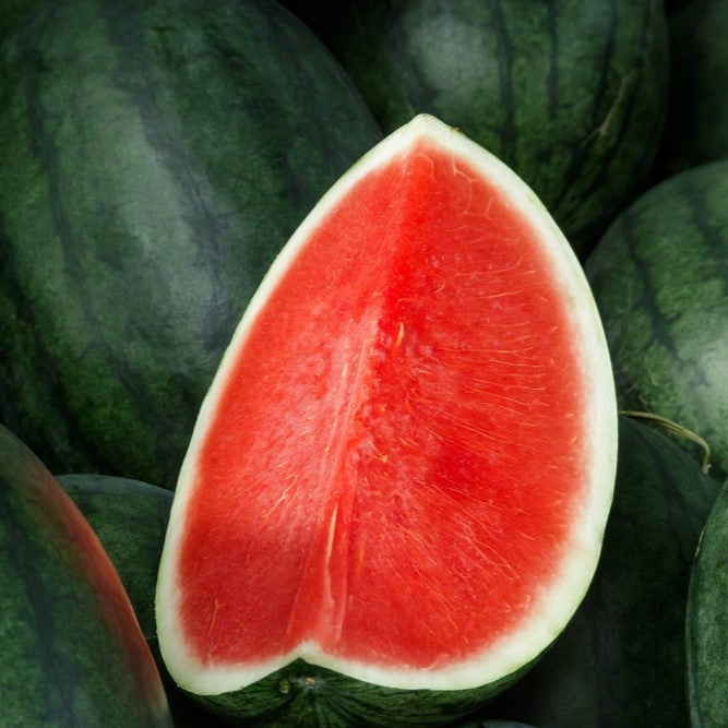 Watermelon Seedless Whole NZ $3.99kg