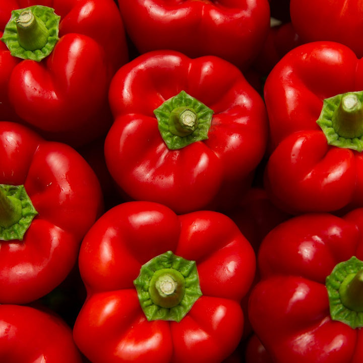 Capsicums Red Large Each NZ