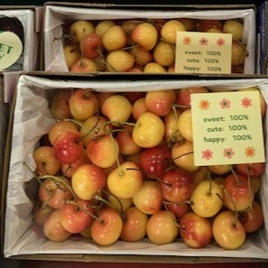Cherries White Rainier 1 kg Box*