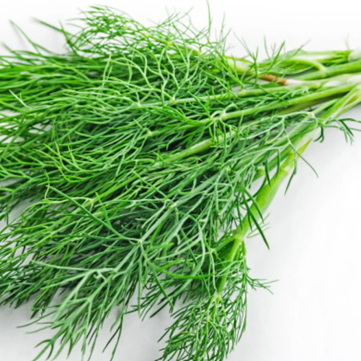 Dill Leaf Fresh Bunch Each NZ