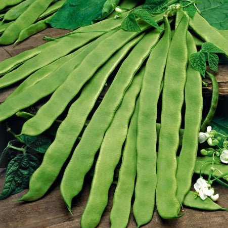 Beans Flat 200gm Bag NZ